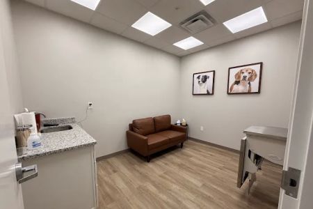 Paw Haven Animal Hospital Lakeland