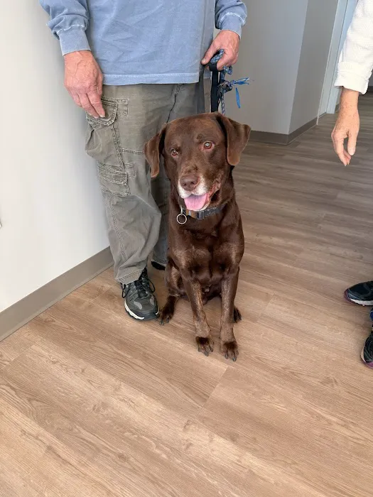 Paw Haven Animal Hospital Lakeland 12