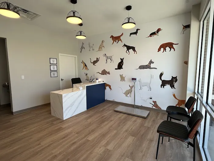 Paw Haven Animal Hospital Lakeland 12