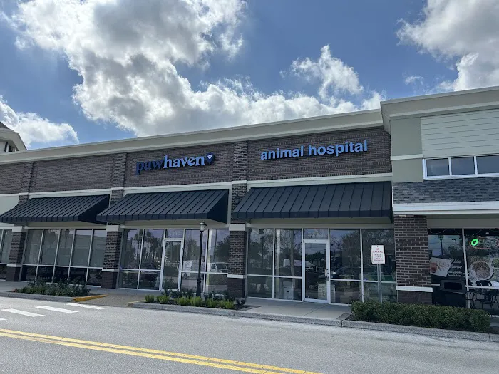 Paw Haven Animal Hospital Lakeland 12