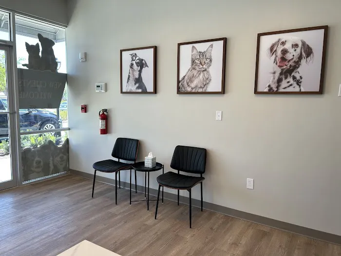 Paw Haven Animal Hospital Lakeland 12
