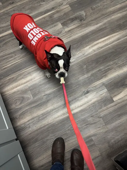 Pet Eye Care Center 12