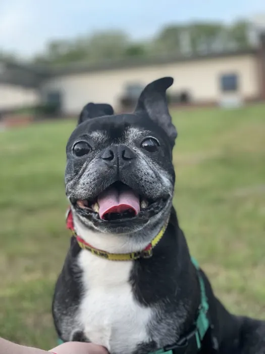 Pet Eye Care Center 12
