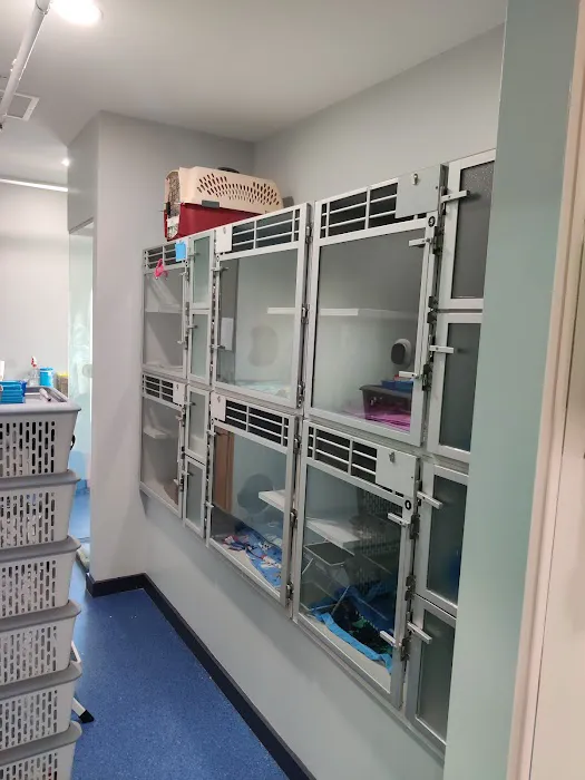 The Cat Hospital of Media 12