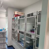 The Cat Hospital of Media ico