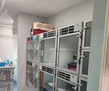 The Cat Hospital of Media