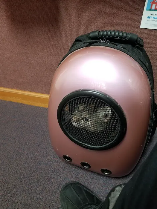 Cat Clinic At Cherry Hill 9
