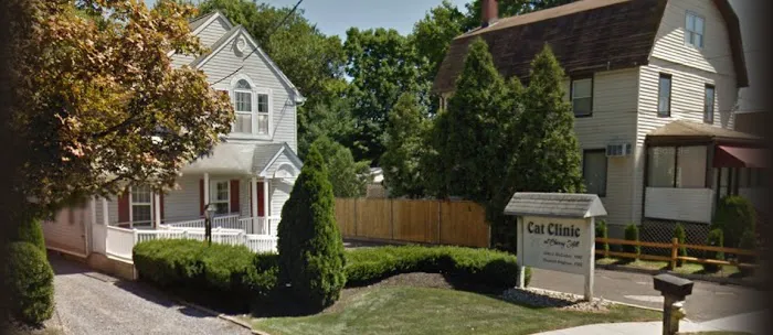 Cat Clinic At Cherry Hill 8