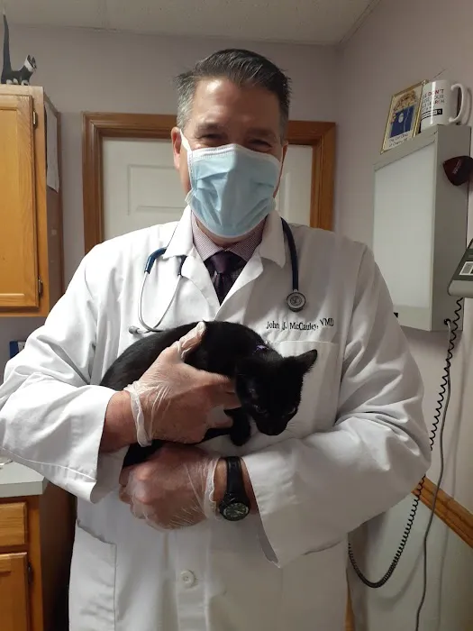 Cat Clinic At Cherry Hill 10
