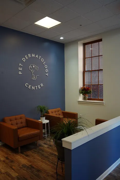 Pet Dermatology Center Philly 9