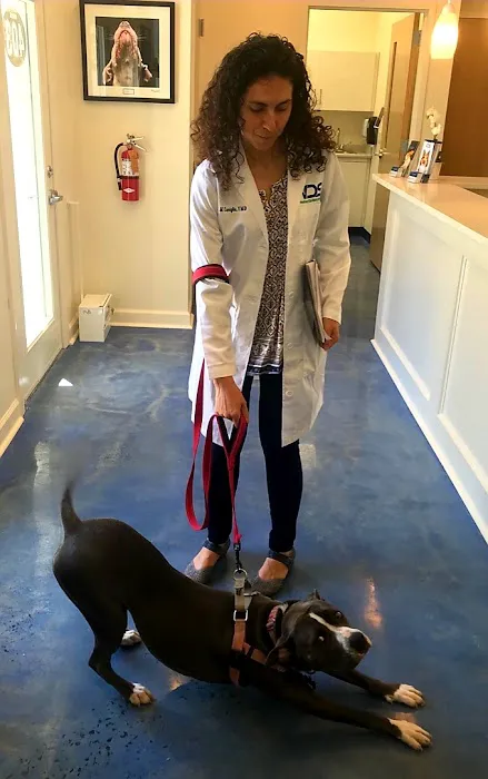 Veterinary Dentistry Specialists 8