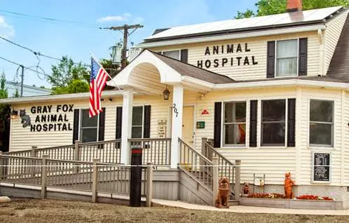 Gray Fox Animal Hospital, LLC 2