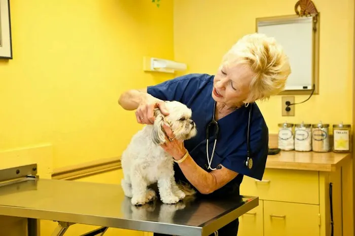 Gray Fox Animal Hospital, LLC 3