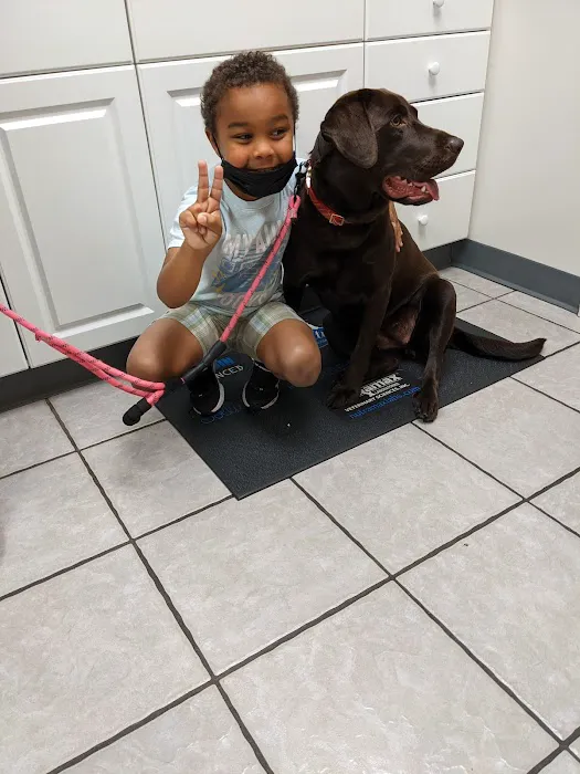 Bethel Mill Animal Hospital 2