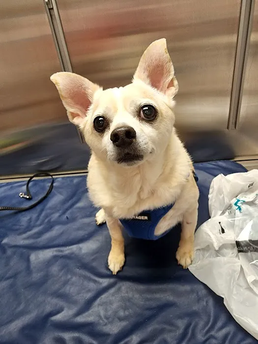 Bethel Mill Animal Hospital 1