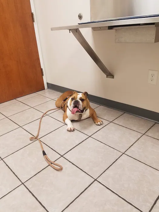 Bethel Mill Animal Hospital 4