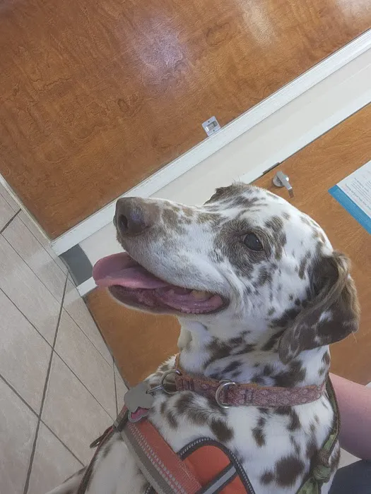 Bethel Mill Animal Hospital 6
