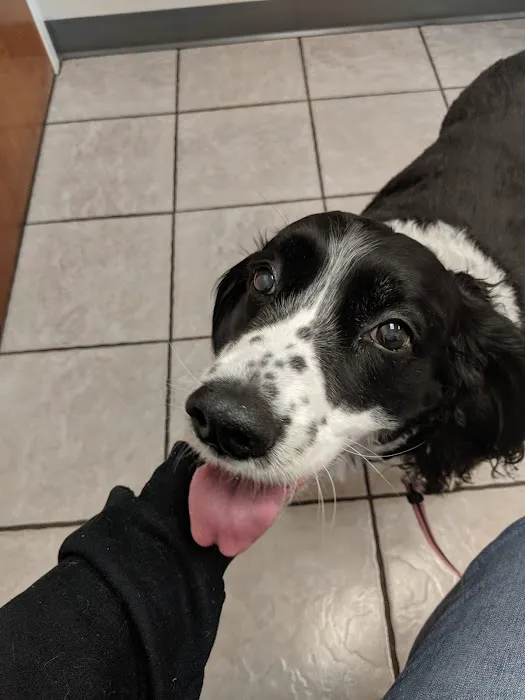 Bethel Mill Animal Hospital 10