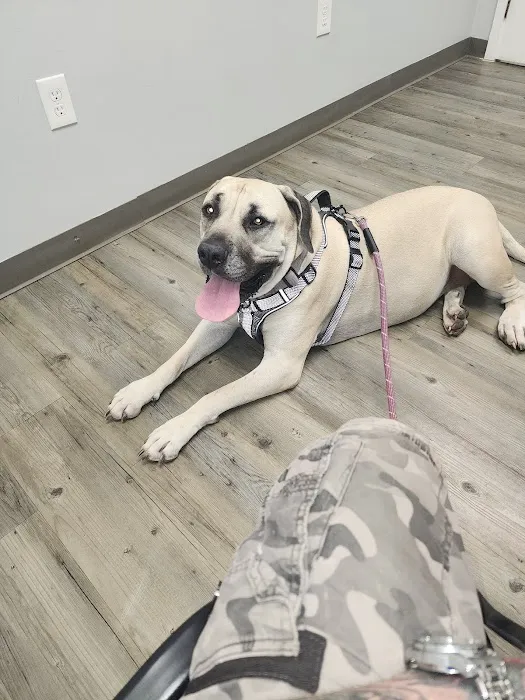 Clementon Animal Hospital 12
