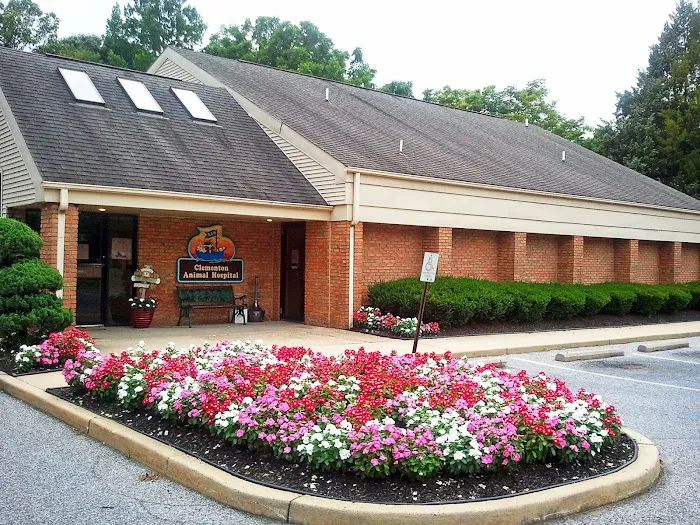 Clementon Animal Hospital 12