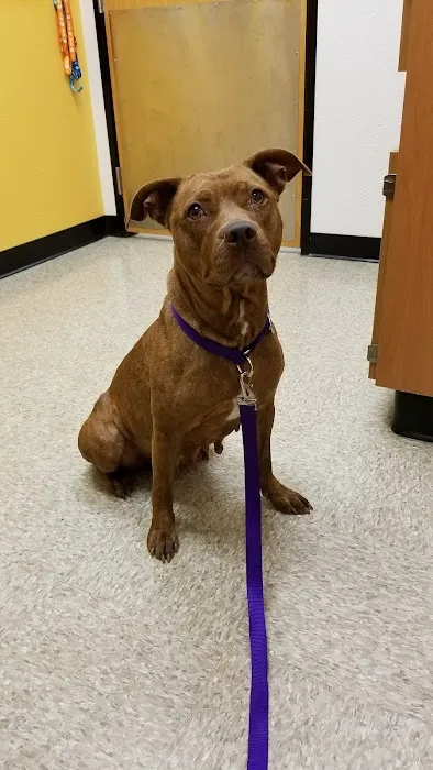Banfield Pet Hospital 8
