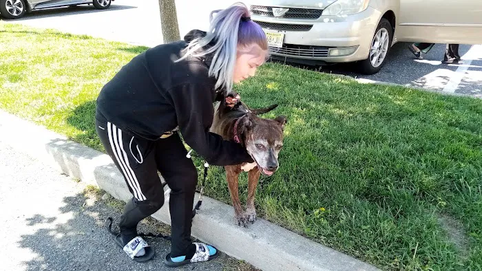Banfield Pet Hospital 9