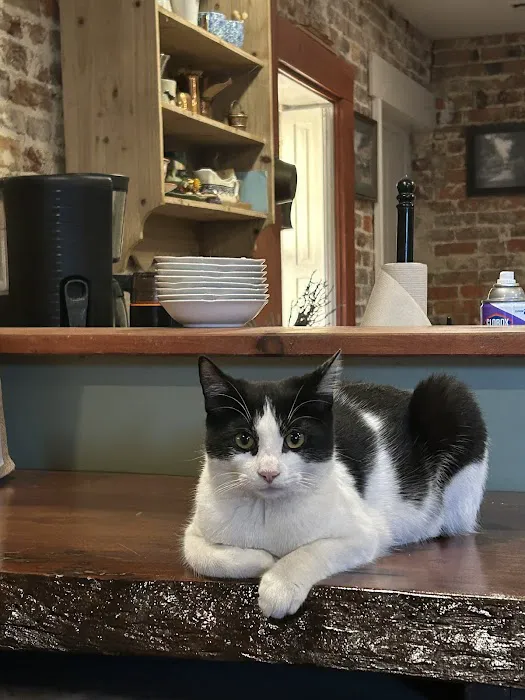 South Jersey Cat Clinic 8