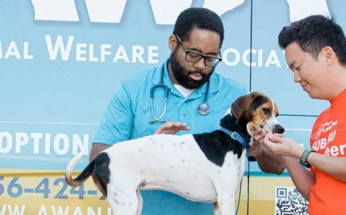 Animal Welfare Association Pet Clinic 1