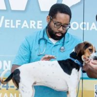 Animal Welfare Association Pet Clinic ico