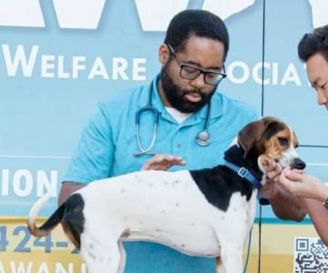 Animal Welfare Association Pet Clinic