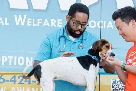 Animal Welfare Association Pet Clinic