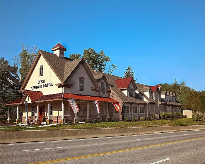Devon Veterinary Hospital 1