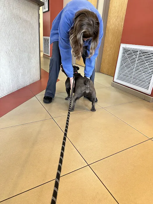 Devon Veterinary Hospital 7