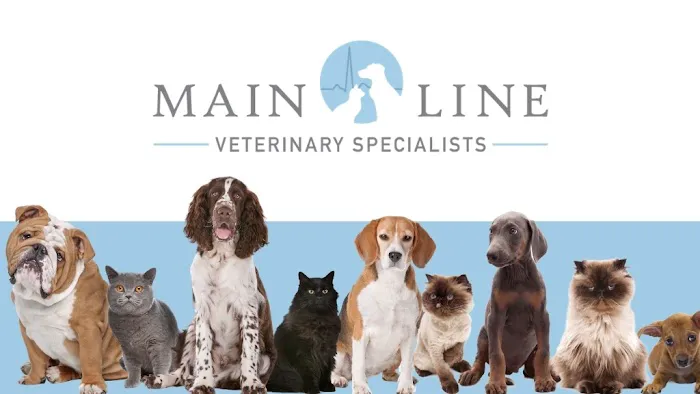 Main Line Veterinary Specialists 3