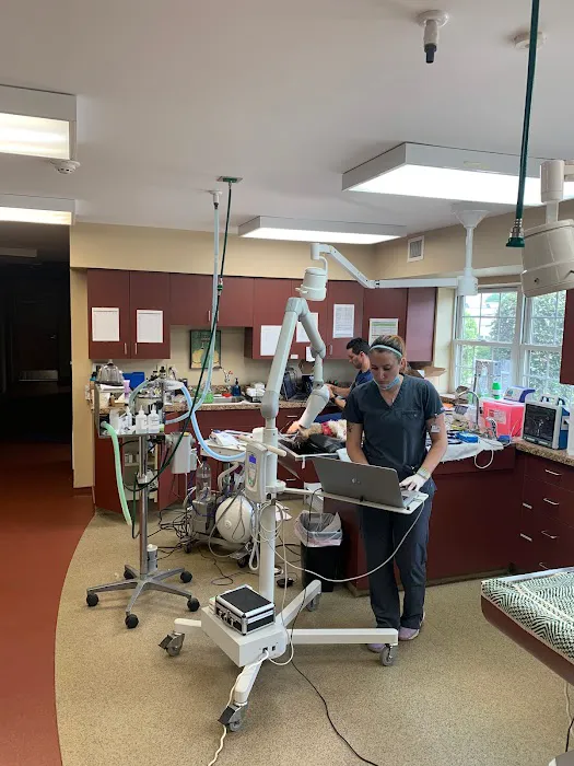 Main Line Veterinary Specialists 4