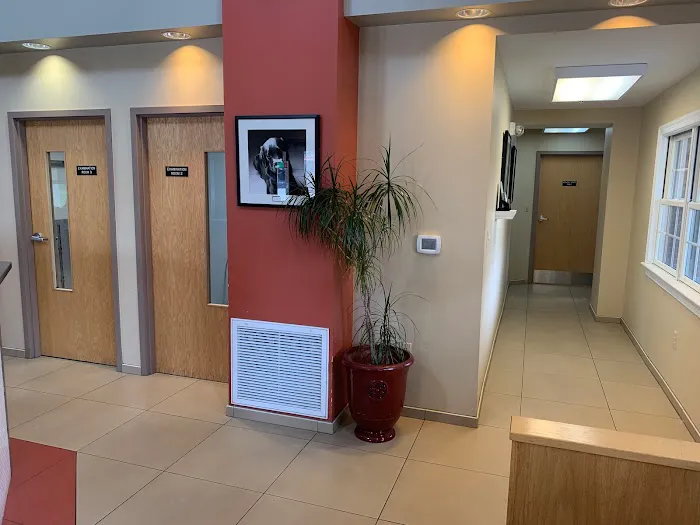 Main Line Veterinary Specialists 5