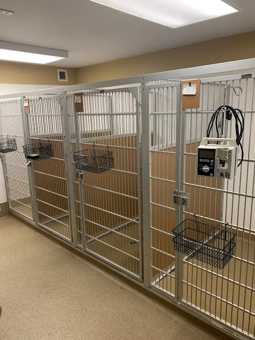 Main Line Veterinary Specialists 9