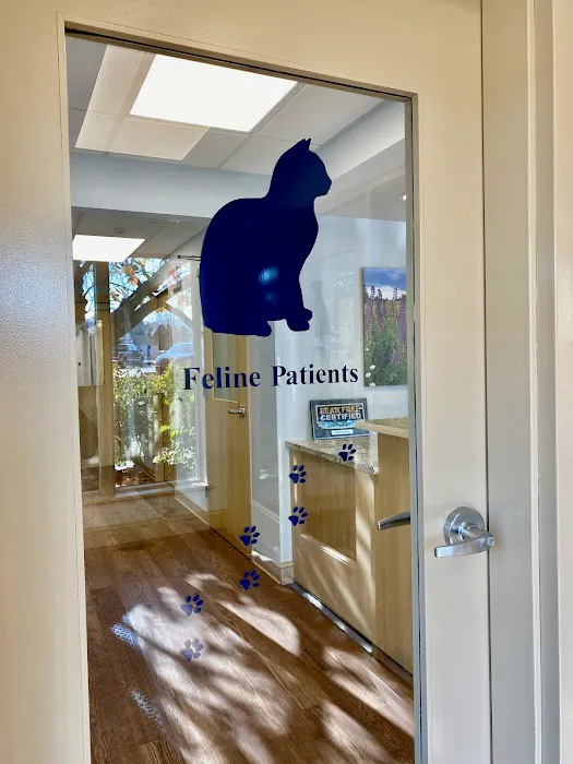 Larklain Veterinary Services 3