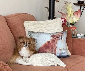 Gateway Animal Hospital