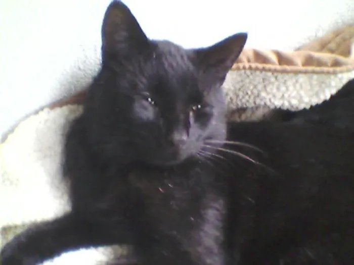 Gateway Animal Hospital 7