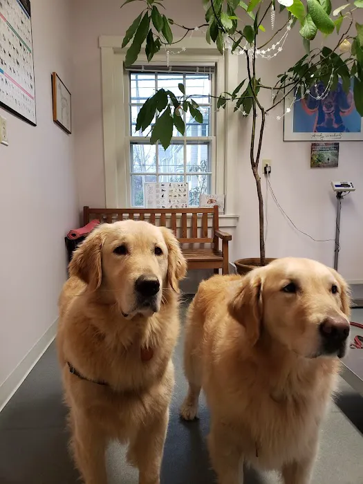 Berwyn Veterinary Center For Integrative Medicine 2