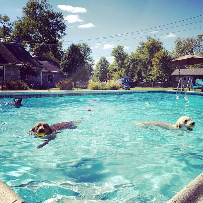Berwyn Veterinary Center For Integrative Medicine 5