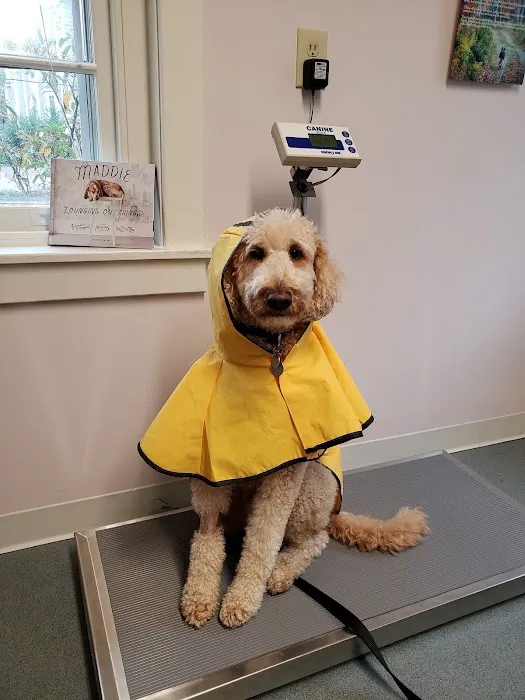 Berwyn Veterinary Center For Integrative Medicine 9