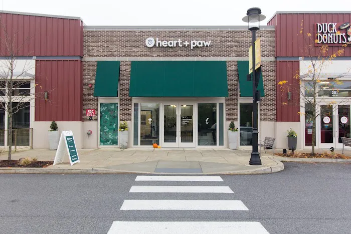 Heart + Paw 4