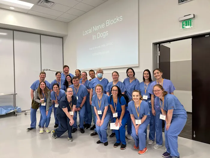 Veterinary Practice Partners 3
