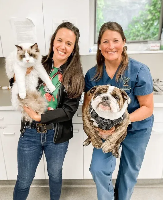 Veterinary Practice Partners 4