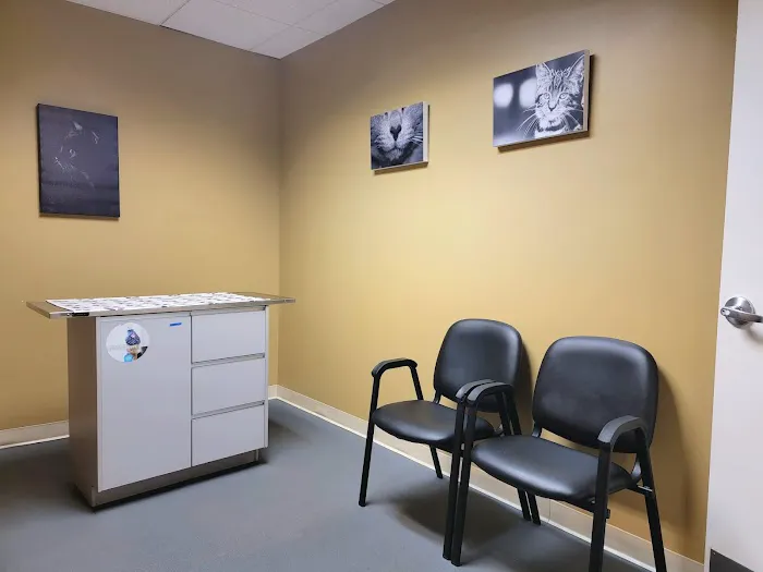 VCA Wellington Animal Hospital 2