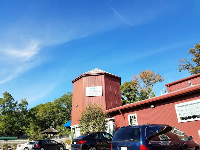 VCA Wellington Animal Hospital 4