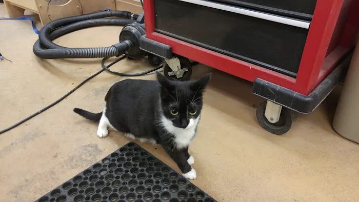 VCA Wellington Animal Hospital 5