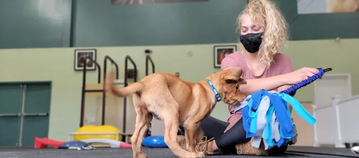 VCA Wellington Animal Hospital 6